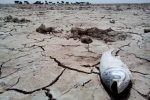 نقش دریاچه نمک قم در تشدید گردوغبار تهران