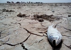 نقش دریاچه نمک قم در تشدید گردوغبار تهران