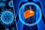 گروههای پرخطر مشمول بیماریابی فعال هپاتیت
