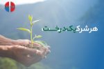 کاشت ۳۰۰ نهال بلوط در زاگرس باشکوه + فیلم