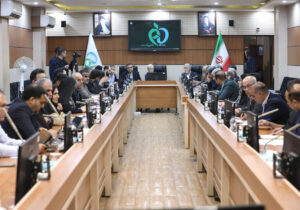 مهلت یکماهه مجلس برای گزارش جامع مشکلات دارو